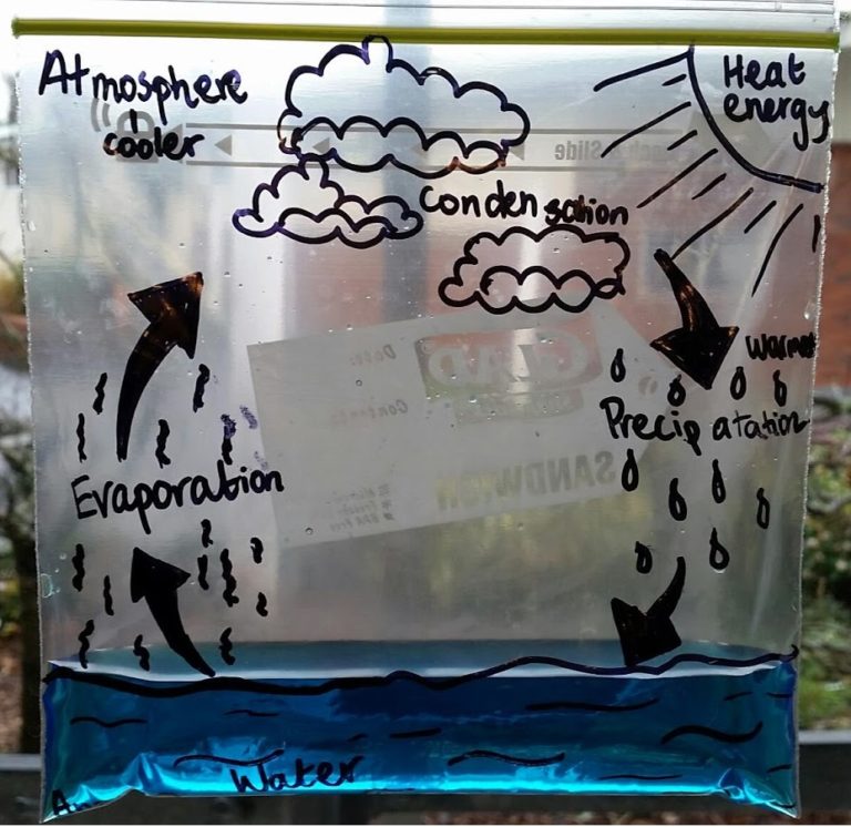 water cycle experiment ziploc bag